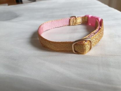 Gold cat kitten safety collar 3