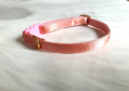 Rose Gold Cat and Kitten collar gold hardware