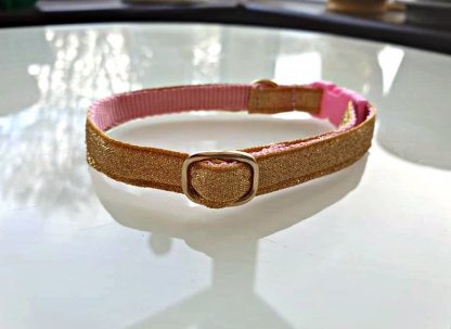 Gold cat kitten safety collar 4