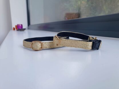 Gold cat kitten collar 2