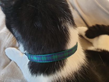 Green Blue Tartan Cat/Kitten Safety collar_2