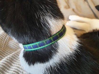 Scottish tartan cat kitten collar blue green_3