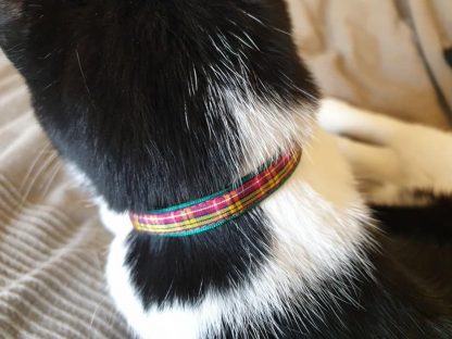 Red yellow Scottish tartan cat kitten safety collar_5