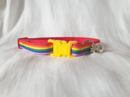 Gay Pride Rainbow Cat Kitten collar yellow buckle