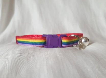 Gay Pride Rainbow Cat Kitten collar purple buckle